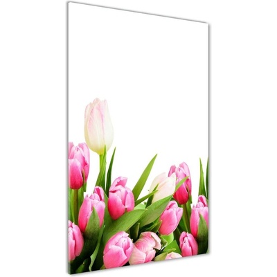 Vertikálny foto obraz fotografie na skle Ružové tulipány 50x100 cm