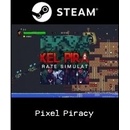 Pixel Piracy