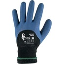 Canis CXS ROXY BLUE WINTER
