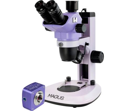 Magus Stereo D7T Plus