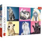 Trefl Пъзел Trefl от 500 части - Котета (37377)