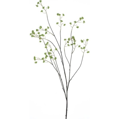 Gypsophila mini zelená V135 cm