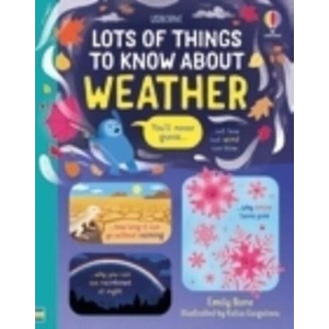 Lots of Things to Know About Weather (ISBN: 9781803701349)