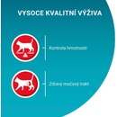 Purina One Sterilcat hovädzí kura losos morka 40 x 85 g
