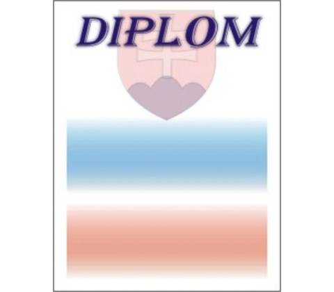 Diplom 10