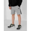 Detské kraťasy a šortky 4F Jr HJL21 JSKDD002A 27M shorts