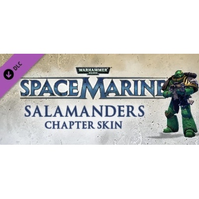 THQ Warhammer 40,000 Space Marine Salamanders Veteran Armour Set DLC (PC)