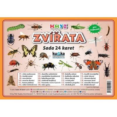 Sada 24 karet Zvířata Hmyz A5