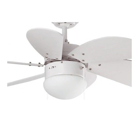 Faro 33180