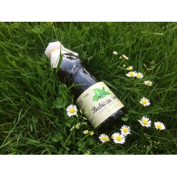 Nature Notea Babiččin sirup Máta 0,5 l