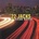 TWENTY TWO JACKS: GOING NORTH CD