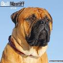 Bull Mastiff Square Dog Breed Wall 16 Month 2024