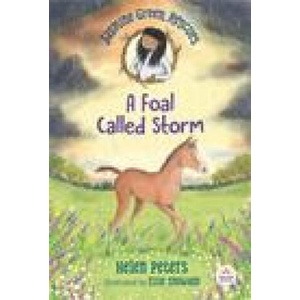 Jasmine Green Rescues: A Foal Called Storm (ISBN: 9781536222722)