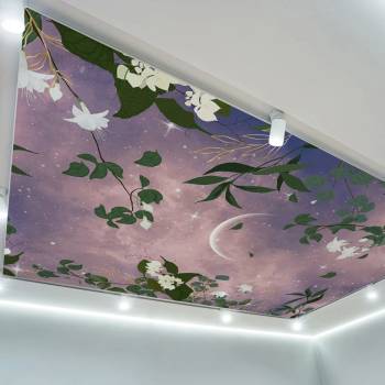 Art Gift Decor Фототапет за таван - Вълшебна лунна нощ