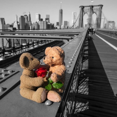 Dvojice medvídků s červenou růží na Brooklynském mostě v New Yorku 50x50 1 deska