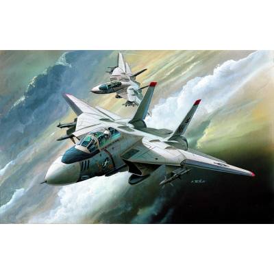 Academy Model Kit letadlo 12608 F-14 36-12608 1:144