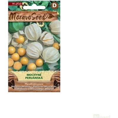 Semínka MoravoSeed Mochyně peruánská, žlutá 32020