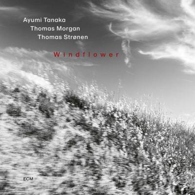Ayumi Tanaka - WINDFLOWER CD