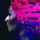 Hand. Cannot. Erase - Steven Wilson LP