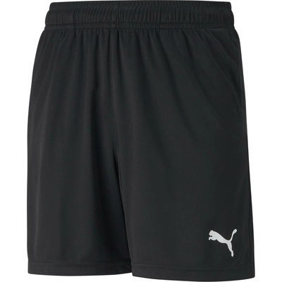 Puma teamRISE Training Shorts