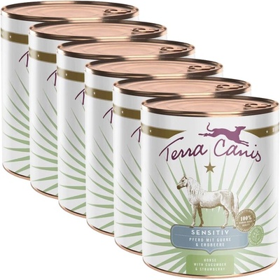 Terra Canis Sensitive Horse with cucumber & strawberry 6 x 800 г