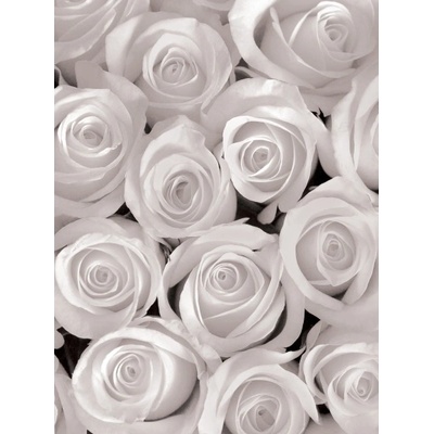 Фототапет Бели рози 3d