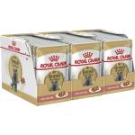 Royal Canin British Shorthair консерви за британски късокосмести котки в сос, 36 x 85 г