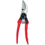 TopGarden 382503
