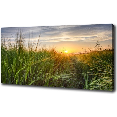 Foto obraz na plátne Pole pšenice 100x50 cm