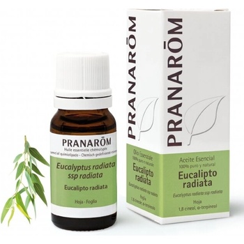 Image 1 of Bio Етерично масло от Евкалипт Радиата | pranarom
