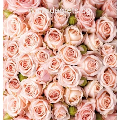 Фототапет Букет от рози 2