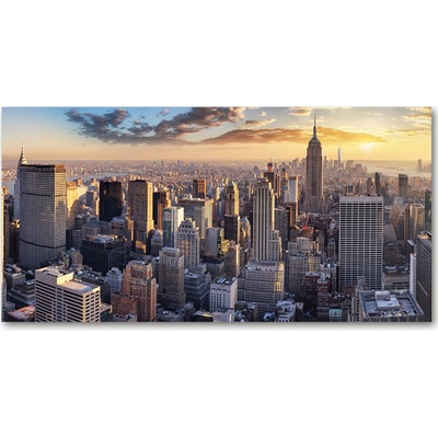 Fotoobraz na skle New York vtáčie pohľad 100x50 cm
