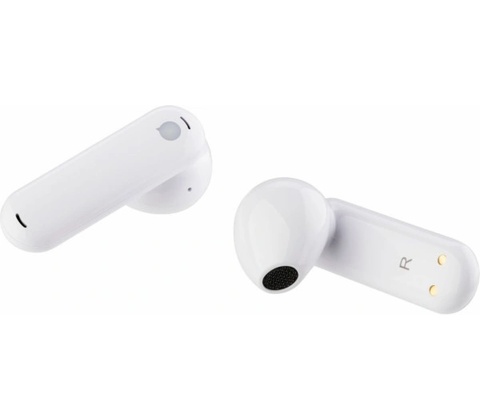 Timekettle WT2 Edge Offline