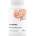 Thorne Boswellia Phytosome, 350 mg, 60 капсули, Thorne (00643 (SF819) TR)