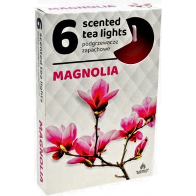 Admit Tea Lights Magnolia 6 ks