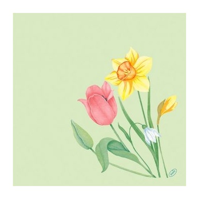 BioDunisoft Ubrousek Spring Melody 60ks 40x40cm