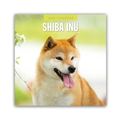 Shiba Inu 16-Monats 2025