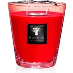 Baobab Collection All Seasons Maasaï Spirit Ароматна свещ 16 см (MAX16AMS)