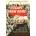 Escape from Rome | Walter Scheidel
