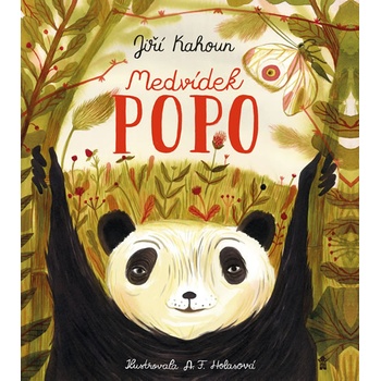 Medvídek Popo
