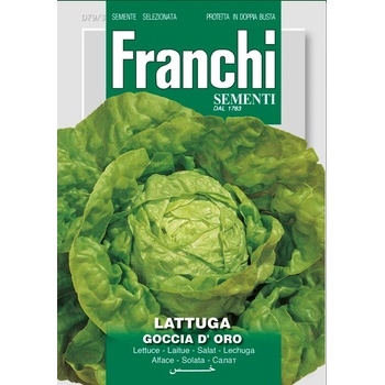 Šalát hlávkový - Goccia d’Oro 8 g