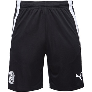 PUMA Team liga training shorts m - sportisimo - 78,21 лв