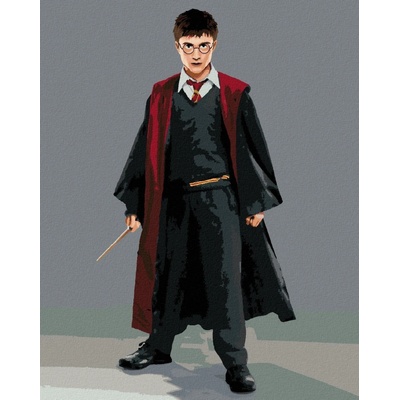 zuty Malování Podle Čísel Harry Potter V Hábitu S Hůlkou 40 x 50 Cm Plátno 8596530238966