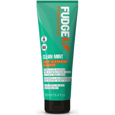 Fudge Clean Mint Shampoo 250 ml