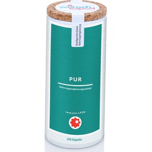 Wunschkapsel Lactobacillus plantarum L-137 Пробиотик, 290 капсули, Wunschkapsel (WK_PUR_BI066)