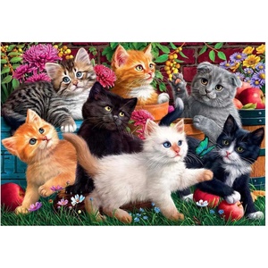 Anatolian - Puzzle Kittens at Play 260 - 260 piese
