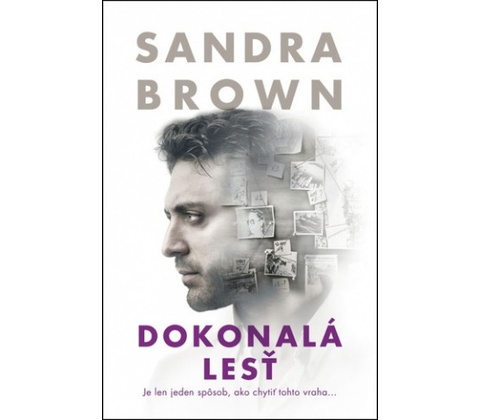 Dokonalá lesť - Sandra Brown