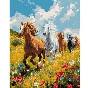 Ideyka Painting by numbers - Field harmony 40x50cm