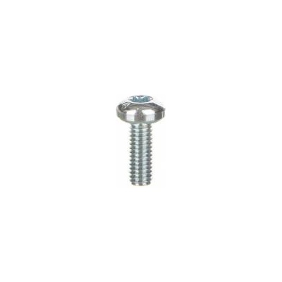 Schneider Torx screw T30 (M6x16) NSYST30M6 /100pcs /