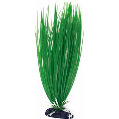 Amtra Kalmus 17 cm
